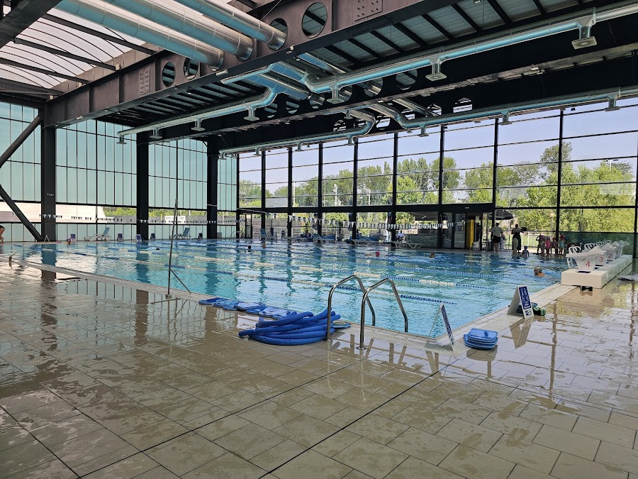 Swimming Team Club