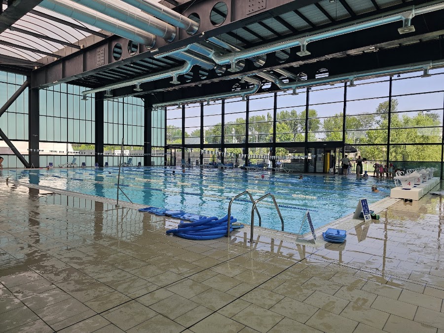 Swimming Team Club